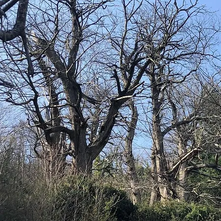 La Bergerie