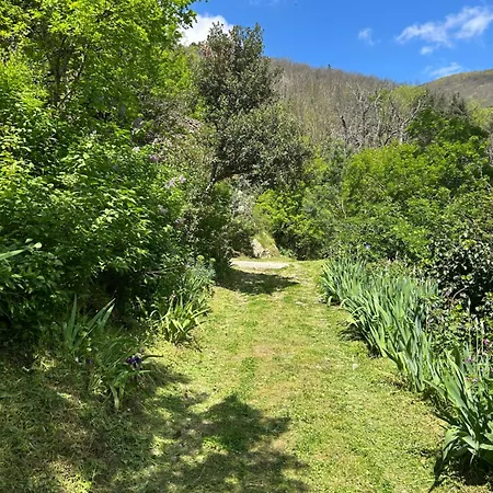 La Bergerie * Saint-Vincent (Herault)