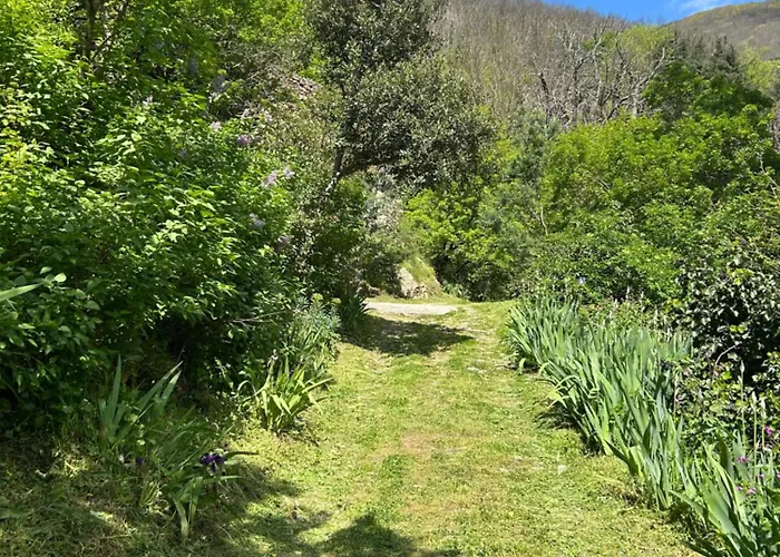 La Bergerie * Saint-Vincent (Herault)