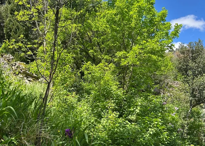 Hébergement de vacances La Bergerie